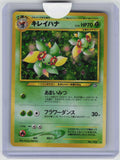 Gold, Silver, to a New World... Bellossom