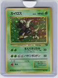 Pokemon Jungle Pinsir