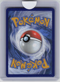 SV: Scarlet & Violet Promo Cards #189 N's Zorua