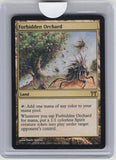 Champions of Kamigawa #276 Forbidden Orchard