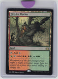 Shadowmoor #271 Fire-Lit Thicket