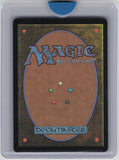 Wilds of Eldraine #304 Restless Cottage (Borderless)
