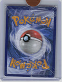 SWSH: Sword & Shield Promo Cards #SWSH291 Lucario VSTAR