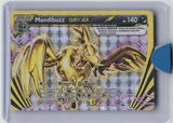 XY Promos #XY182 Mandibuzz BREAK