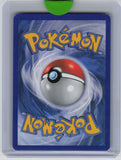 Plasma Storm #67/135 Garbodor (Team Plasma) (67)