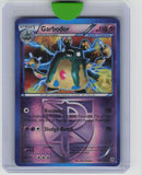 Plasma Storm #66/135 Garbodor (Team Plasma) (66)