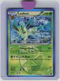Plasma Freeze #11/116 Leafeon (Team Plasma)