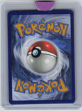 SV: Scarlet & Violet Promo Cards #055 Kangaskhan ex