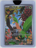 SV02: Paldea Evolved #195/193 Tropius